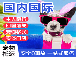 威海航空托运国际宠物托运 【国